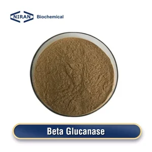 Beta glucanasa