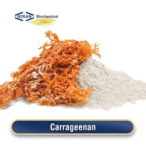 Carragenina