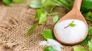 Erythritol-Manufacturers