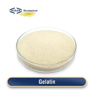 Gelatina