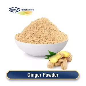 Poudre de gingembre