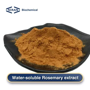 Acide rosmarinique