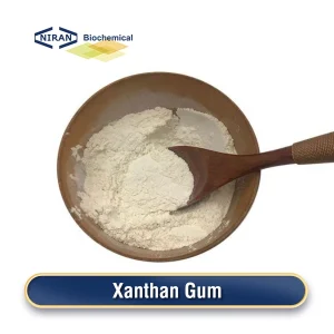 Polvo de goma xantana